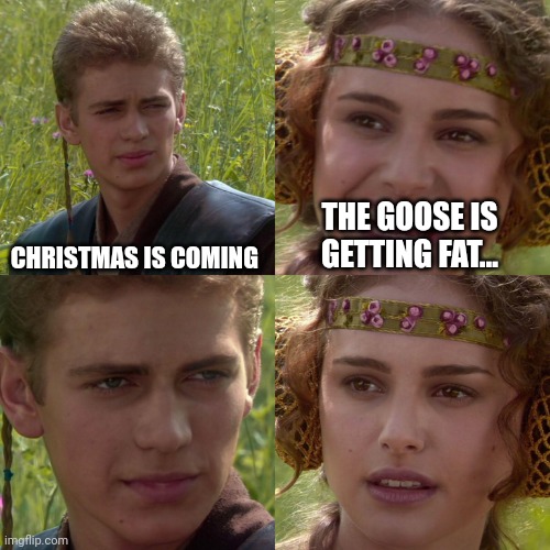 Old Christmas tunes not sung | CHRISTMAS IS COMING; THE GOOSE IS GETTING FAT... | image tagged in anakin padme 4 panel,christmas songs,rhymes,what are you saying,funny memes | made w/ Imgflip meme maker