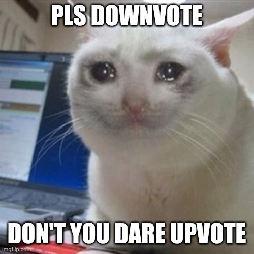 Pls downvote | PLS DOWNVOTE; DON'T YOU DARE UPVOTE | image tagged in crying cat,pls,downvote | made w/ Imgflip meme maker