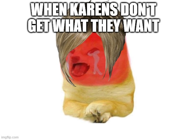 karen doggo 0 | WHEN KARENS DON'T GET WHAT THEY WANT | image tagged in young rage cheems | made w/ Imgflip meme maker
