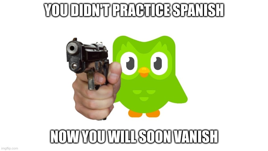 Duolingo with gun | YOU DIDN'T PRACTICE SPANISH; NOW YOU WILL SOON VANISH | image tagged in duolingo with gun,funny | made w/ Imgflip meme maker