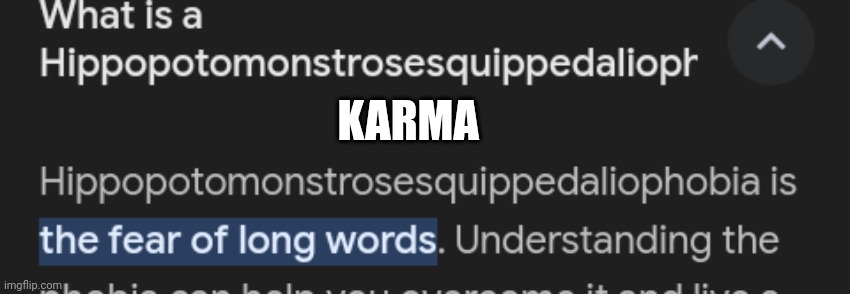 Karma | KARMA | image tagged in memes | made w/ Imgflip meme maker