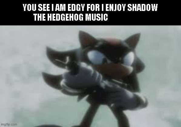 Shadow the hedgehog with a gun | YOU SEE I AM EDGY FOR I ENJOY SHADOW THE HEDGEHOG MUSIC | image tagged in shadow the hedgehog with a gun | made w/ Imgflip meme maker