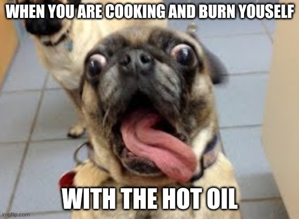 OUCH | WHEN YOU ARE COOKING AND BURN YOUSELF; WITH THE HOT OIL | image tagged in screaming dog,hurt,burn,screaming,yelling | made w/ Imgflip meme maker