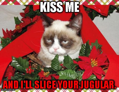 Grumpy Cat Mistletoe Meme | KISS ME AND I'LL SLICE YOUR JUGULAR. | image tagged in memes,grumpy cat | made w/ Imgflip meme maker