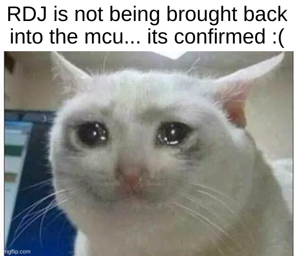 jgyftgcvhbjlhugyf | RDJ is not being brought back into the mcu... its confirmed :( | image tagged in crying cat,sad | made w/ Imgflip meme maker