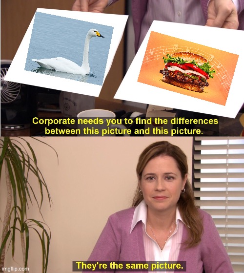 Two whoopers | image tagged in memes,they're the same picture,whooper,whooper swan,swan,burger | made w/ Imgflip meme maker