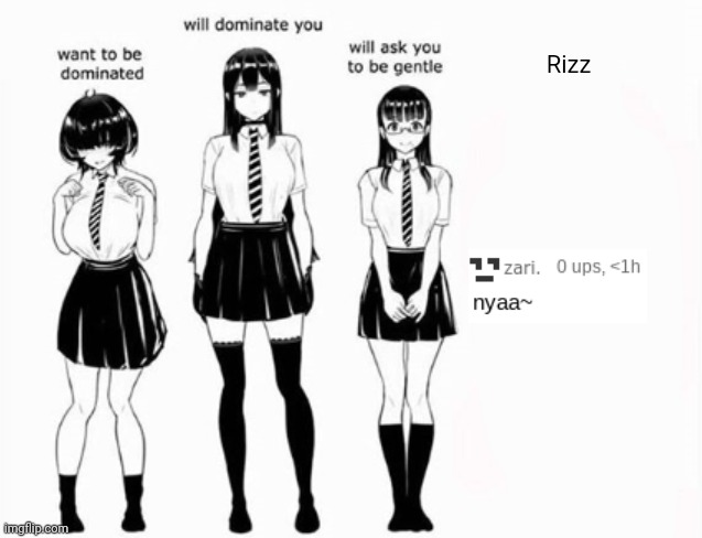 Domination stats | Rizz | image tagged in domination stats | made w/ Imgflip meme maker