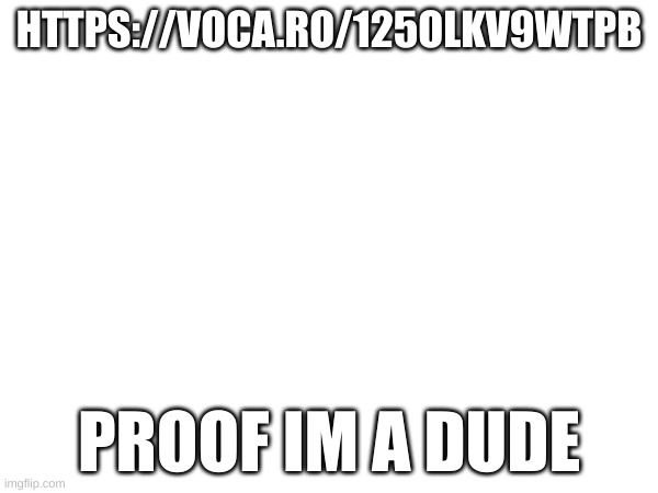 HTTPS://VOCA.RO/125OLKV9WTPB; PROOF IM A DUDE | made w/ Imgflip meme maker