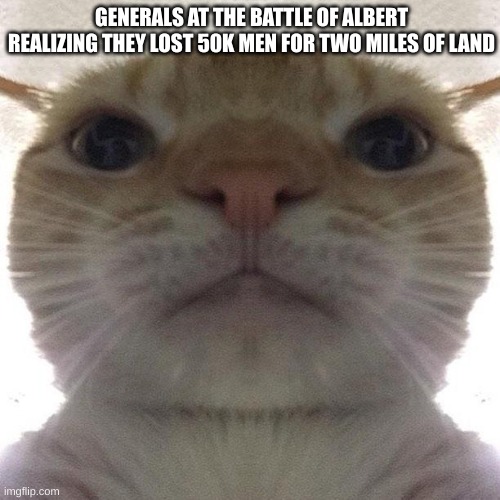 Staring Cat/Gusic | GENERALS AT THE BATTLE OF ALBERT REALIZING THEY LOST 50K MEN FOR TWO MILES OF LAND | image tagged in staring cat/gusic | made w/ Imgflip meme maker