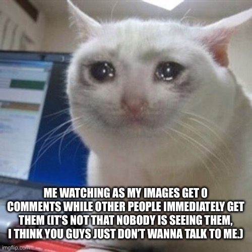 Crying cat | ME WATCHING AS MY IMAGES GET 0 COMMENTS WHILE OTHER PEOPLE IMMEDIATELY GET THEM (IT’S NOT THAT NOBODY IS SEEING THEM, I THINK YOU GUYS JUST DON’T WANNA TALK TO ME.) | image tagged in crying cat | made w/ Imgflip meme maker