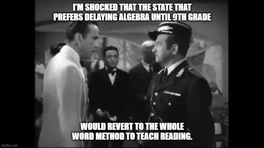 I'M SHOCKED THAT THE STATE THAT PREFERS DELAYING ALGEBRA UNTIL 9TH GRADE; WOULD REVERT TO THE WHOLE WORD METHOD TO TEACH READING. | made w/ Imgflip meme maker