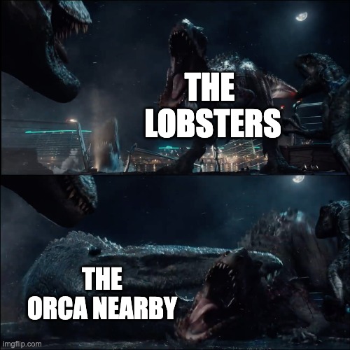 Surprise Mosasaur | THE 
LOBSTERS THE ORCA NEARBY | image tagged in surprise mosasaur | made w/ Imgflip meme maker