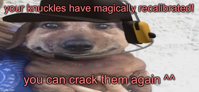 chucklenuts | your knuckles have magically recalibrated! you can crack them again ^^ | image tagged in chucklenuts | made w/ Imgflip meme maker
