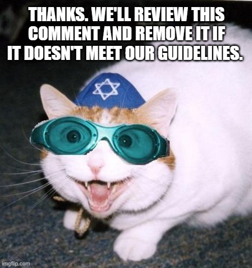Thanks. We'll review this comment and remove it if it doesn't meet our guidelines. | THANKS. WE'LL REVIEW THIS COMMENT AND REMOVE IT IF IT DOESN'T MEET OUR GUIDELINES. | image tagged in palestine,israel | made w/ Imgflip meme maker