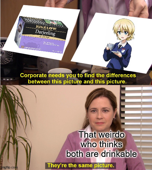 Drink one, Love both | That weirdo who thinks both are drinkable | image tagged in memes,they're the same picture,girls und panzer | made w/ Imgflip meme maker