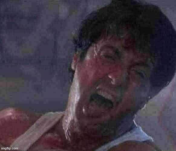 Stallone face | image tagged in stallone face | made w/ Imgflip meme maker