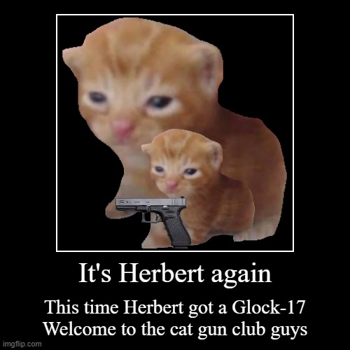 herbert's own cat gun club | It's Herbert again | This time Herbert got a Glock-17
Welcome to the cat gun club guys | image tagged in funny,demotivationals | made w/ Imgflip demotivational maker