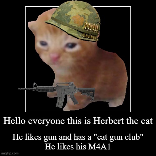 Herbert | Hello everyone this is Herbert the cat | He likes gun and has a "cat gun club"
He likes his M4A1 | image tagged in funny,demotivationals | made w/ Imgflip demotivational maker