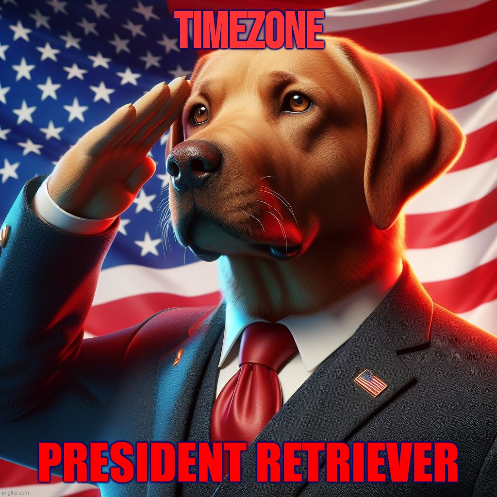 President Retriever | Timezone; PRESIDENT RETRIEVER | image tagged in timezone | made w/ Imgflip meme maker