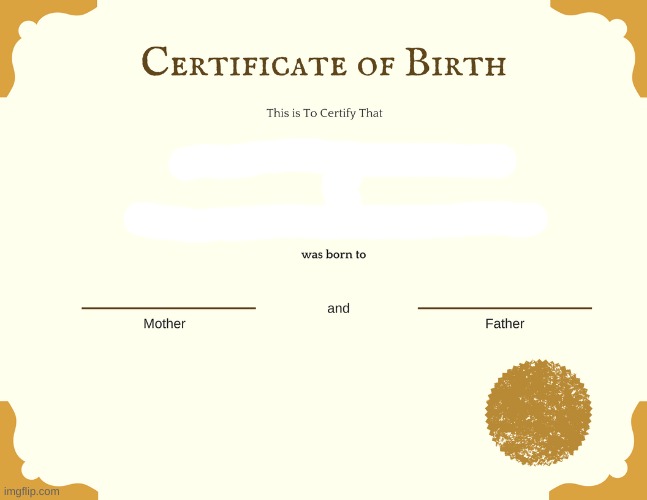 certificate of birth Blank Meme Template