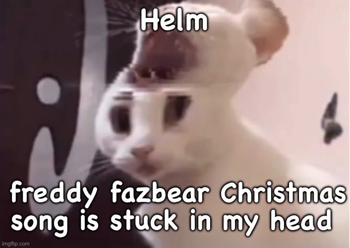 Shocked cat | Helm; freddy fazbear Christmas song is stuck in my head | image tagged in shocked cat | made w/ Imgflip meme maker
