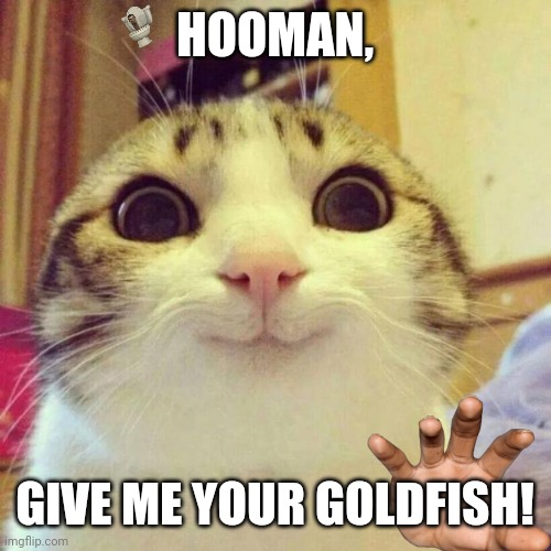 Smiling Cat Meme | HOOMAN, GIVE ME YOUR GOLDFISH! | image tagged in memes,kitty,fish | made w/ Imgflip meme maker