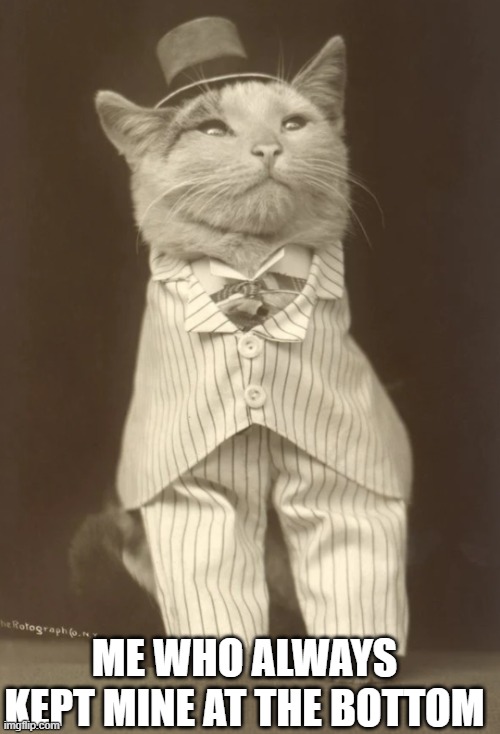 ME WHO ALWAYS KEPT MINE AT THE BOTTOM | image tagged in cat in pinstripe | made w/ Imgflip meme maker