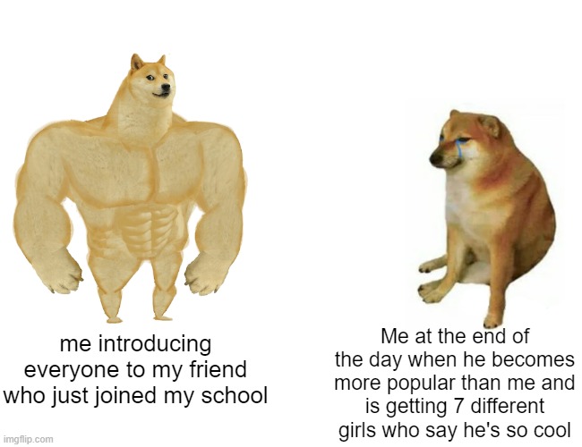 This is literally not a joke or exaggeration :( | me introducing everyone to my friend who just joined my school; Me at the end of the day when he becomes more popular than me and is getting 7 different girls who say he's so cool | image tagged in memes,buff doge vs cheems | made w/ Imgflip meme maker