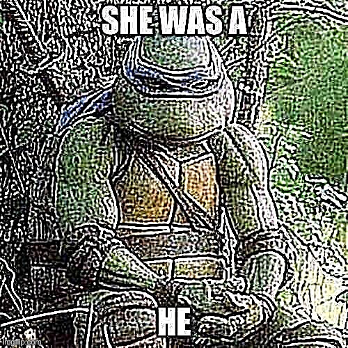 she was a he | image tagged in she was a he | made w/ Imgflip meme maker