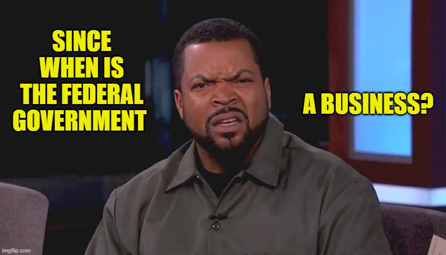 Really? Ice Cube | SINCE WHEN IS THE FEDERAL GOVERNMENT A BUSINESS? | image tagged in really ice cube | made w/ Imgflip meme maker