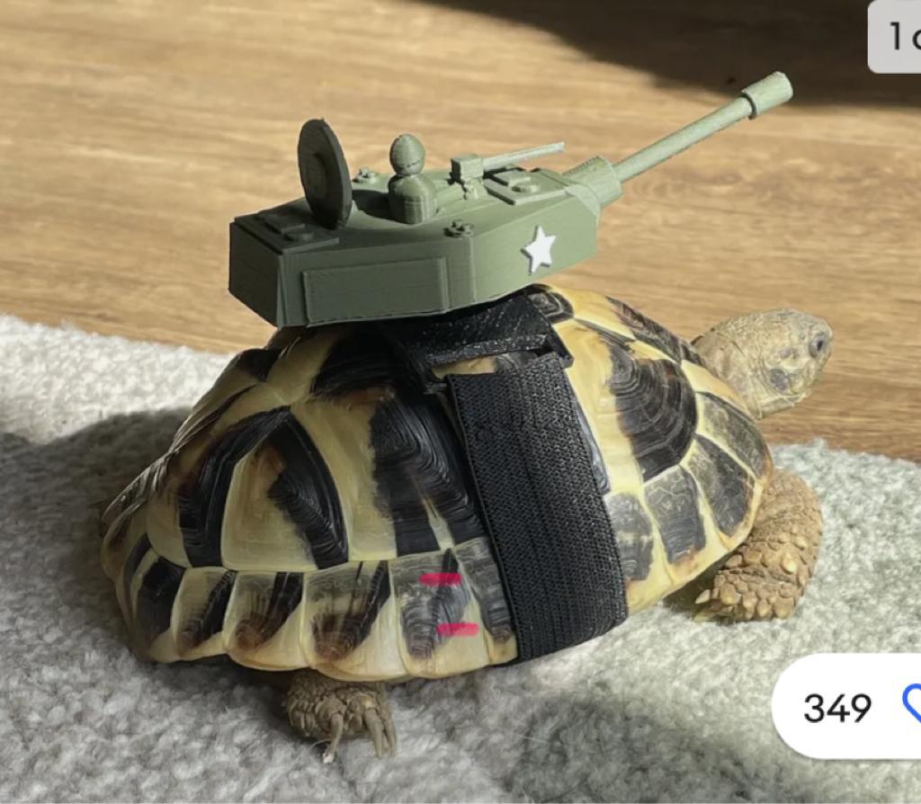High Quality Turtle Tank Blank Meme Template