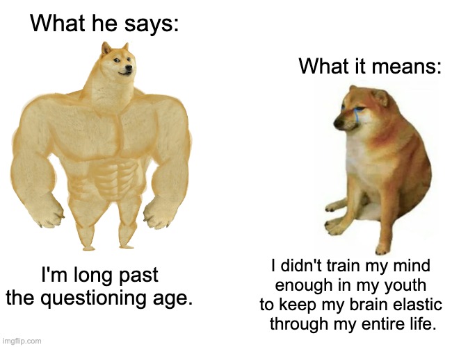 Questioning age and elastic brain | What he says:; What it means:; I'm long past the questioning age. I didn't train my mind 
enough in my youth 
to keep my brain elastic 
through my entire life. | image tagged in memes,buff doge vs cheems,neuroplasticity,elastic brain | made w/ Imgflip meme maker