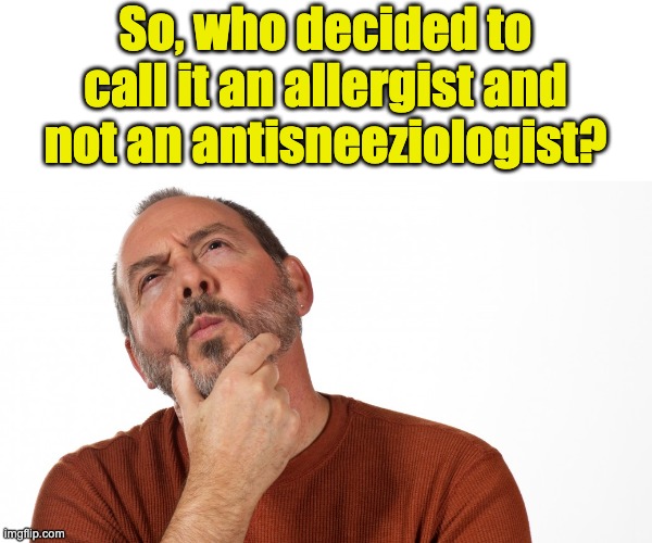 Allergies | So, who decided to call it an allergist and not an antisneeziologist? | image tagged in hmmm | made w/ Imgflip meme maker