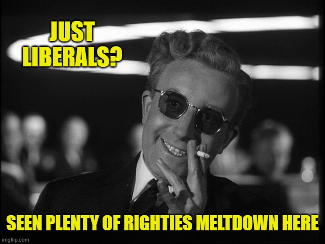 Dr. Strangelove | JUST LIBERALS? SEEN PLENTY OF RIGHTIES MELTDOWN HERE | image tagged in dr strangelove | made w/ Imgflip meme maker