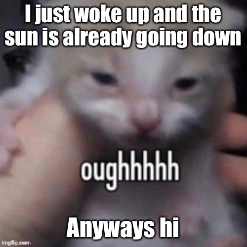 oughhhhh | I just woke up and the sun is already going down; Anyways hi | image tagged in oughhhhh | made w/ Imgflip meme maker