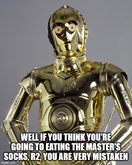 C3PO | WELL IF YOU THINK YOU'RE GOING TO EATING THE MASTER'S SOCKS, R2, YOU ARE VERY MISTAKEN | image tagged in c3po | made w/ Imgflip meme maker