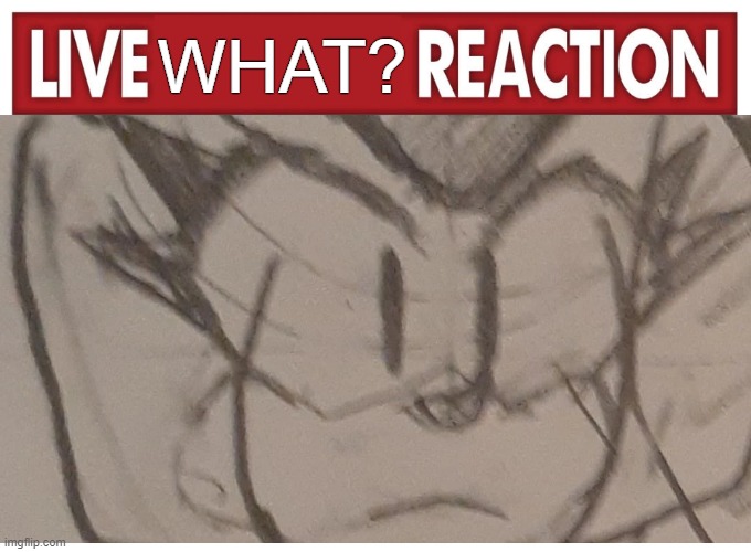 what | WHAT? | image tagged in live reaction | made w/ Imgflip meme maker