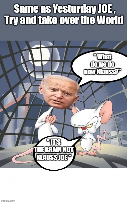 AND theres the facts | " IT'S THE BRAIN NOT KLAUSS JOE " | image tagged in criminal,nwo | made w/ Imgflip meme maker