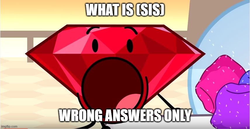 WHAT IS SIS WRONG ANSWERS ONLY | WHAT IS (SIS); WRONG ANSWERS ONLY | image tagged in bfdi ruby | made w/ Imgflip meme maker