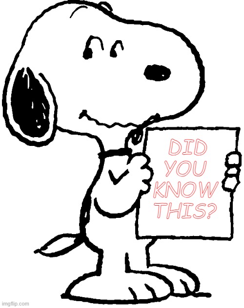 Snoopy Wants to Know | DID
YOU
KNOW
THIS? | image tagged in snoopy dog,snoopy,did you know this | made w/ Imgflip meme maker