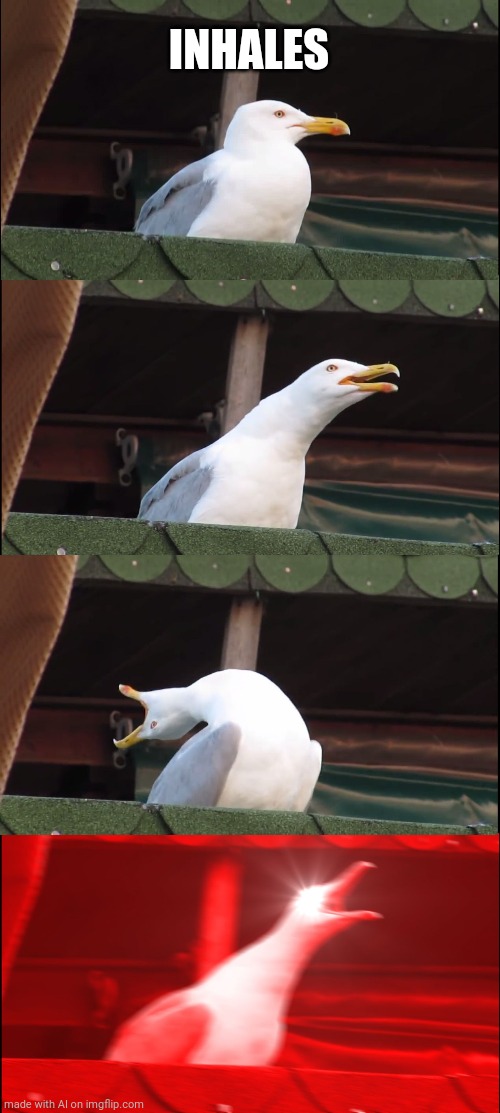 Inhaling Seagull | INHALES | image tagged in memes,inhaling seagull,inhales,ai meme | made w/ Imgflip meme maker