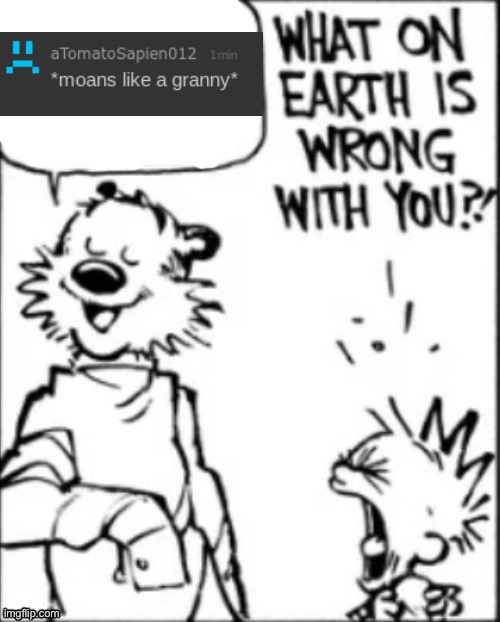 What on earth is wrong with you | image tagged in what on earth is wrong with you | made w/ Imgflip meme maker