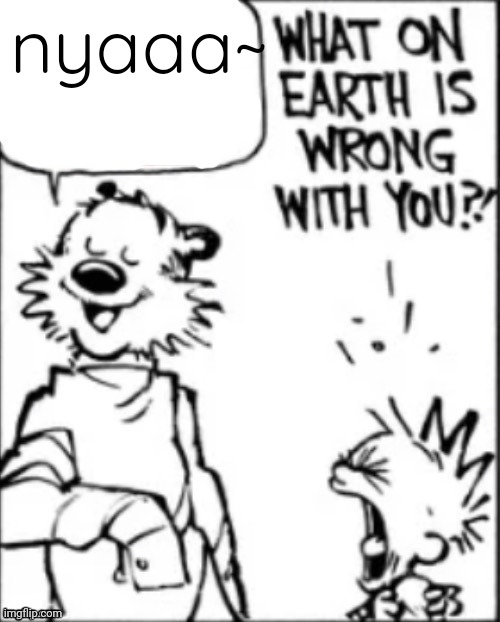What on earth is wrong with you | nyaaa~ | image tagged in what on earth is wrong with you | made w/ Imgflip meme maker