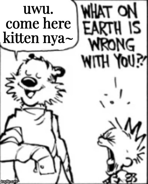 What on earth is wrong with you | uwu. come here kitten nya~ | image tagged in what on earth is wrong with you | made w/ Imgflip meme maker