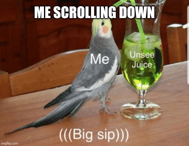 Unsee juice | ME SCROLLING DOWN | image tagged in unsee juice | made w/ Imgflip meme maker