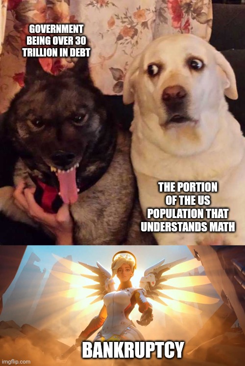 We can fix the debt crisis pretty easily.... | GOVERNMENT BEING OVER 30 TRILLION IN DEBT; THE PORTION OF THE US POPULATION THAT UNDERSTANDS MATH; BANKRUPTCY | image tagged in worried at evil dog,overwatch mercy meme | made w/ Imgflip meme maker