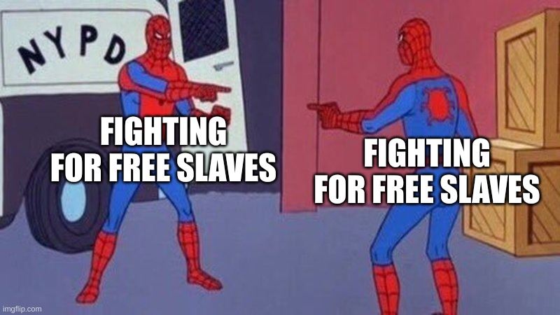 literally a school project | FIGHTING FOR FREE SLAVES; FIGHTING FOR FREE SLAVES | image tagged in spiderman pointing at spiderman | made w/ Imgflip meme maker