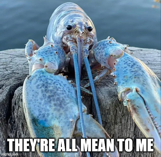 The Blue Lobster | THEY'RE ALL MEAN TO ME | image tagged in the blue lobster | made w/ Imgflip meme maker