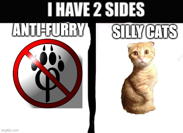 i have 2 sides | ANTI-FURRY; SILLY CATS | image tagged in i have 2 sides | made w/ Imgflip meme maker
