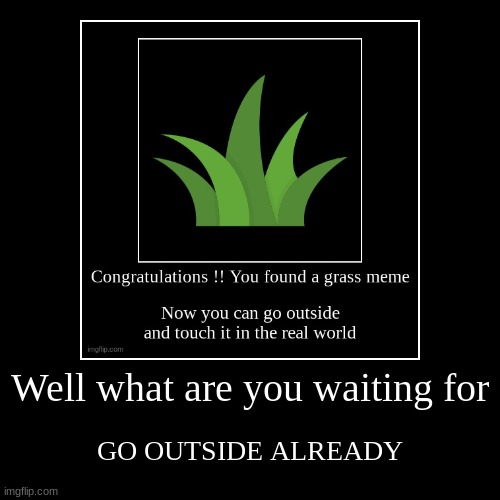 The Grass meme | Well what are you waiting for | GO OUTSIDE ALREADY | image tagged in funny,demotivationals | made w/ Imgflip demotivational maker